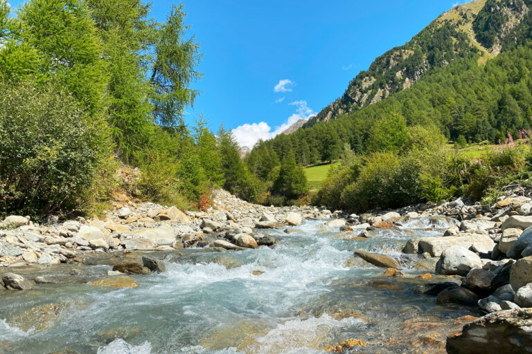 Gebirgsbach beim Glieshof in Südtirol