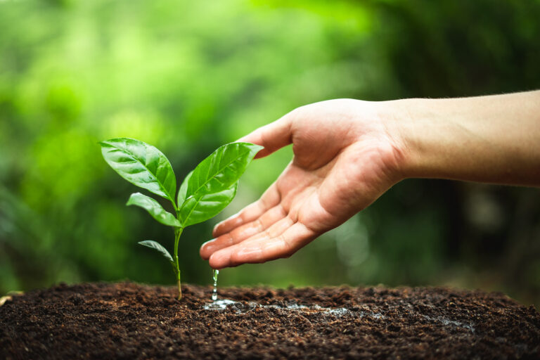 Umweltschutz dank Reduzierung der Abwassermengen bei Phinella UO-Anlagen